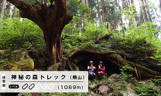 岐阜県　神秘の森トレック　蕪山（かぶらやま）