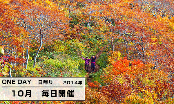 大日ヶ岳　10月毎日開催